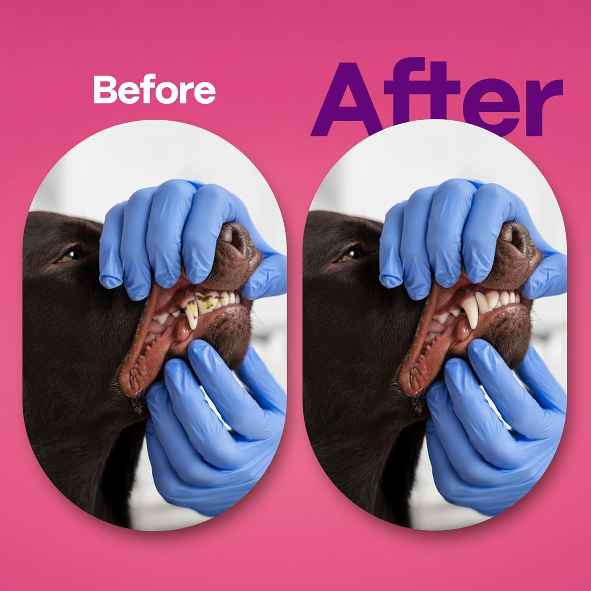 DOCO Dog Teeth Cleaning Wipes Dental Finger Wipes for Cats & Dogs Remove Plaque & Tartar, Freshen