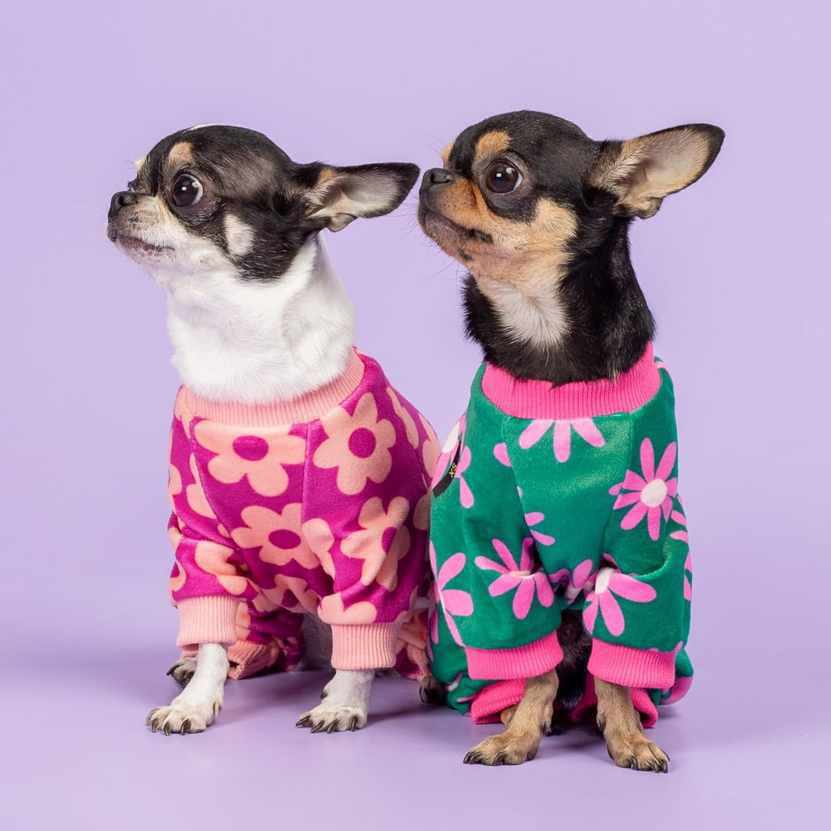 Fitwarm Flower Fleece Dog Pajamas, Warm Winter Dog Clothes for Small Dogs Girl, Cozy Pet Onesie