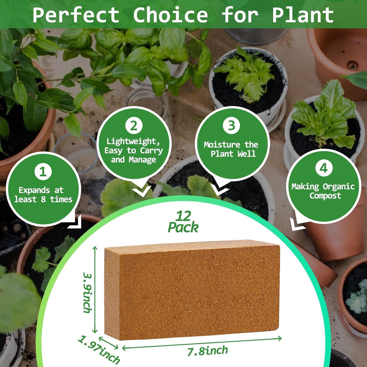 Riare 12pcs Organic Coco Coir Bricks Soil Blocks- 100% Natural Compressed Coco Peat Brick Coconut