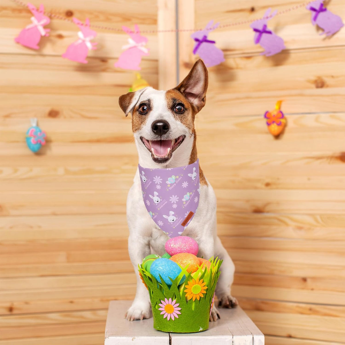 ADOGGYGO Easter Dog Bandanas, Reversible Bunny Floral Pet Scarf, Multi Size Offered, Rabbit Easter