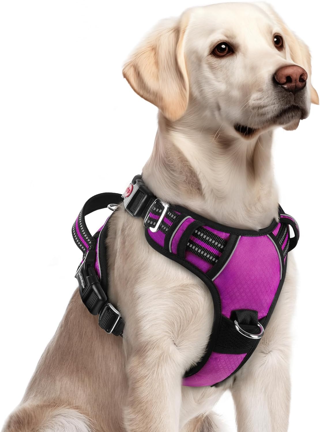 rabbitgoo Dog Harness for Large Dogs, No Pull Pet Vest with 3 Buckles, Adjustable Soft Padded Pet