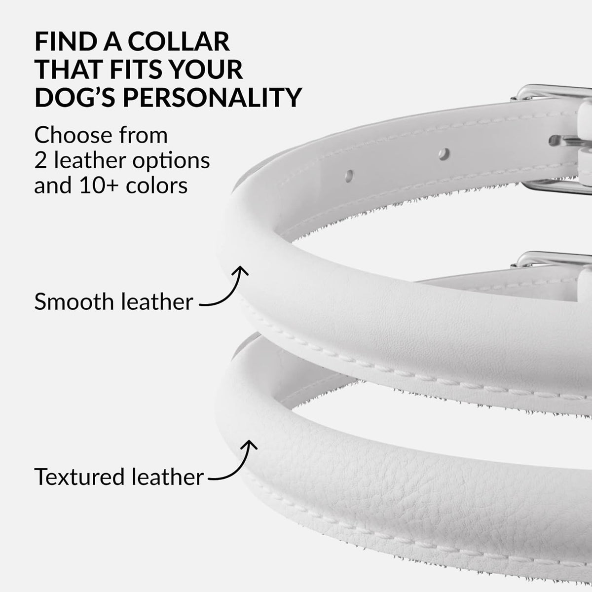 CollarDirect Rolled Leather Dog Collar, Soft Padded Round Puppy Collar, Handmade Genuine Leather