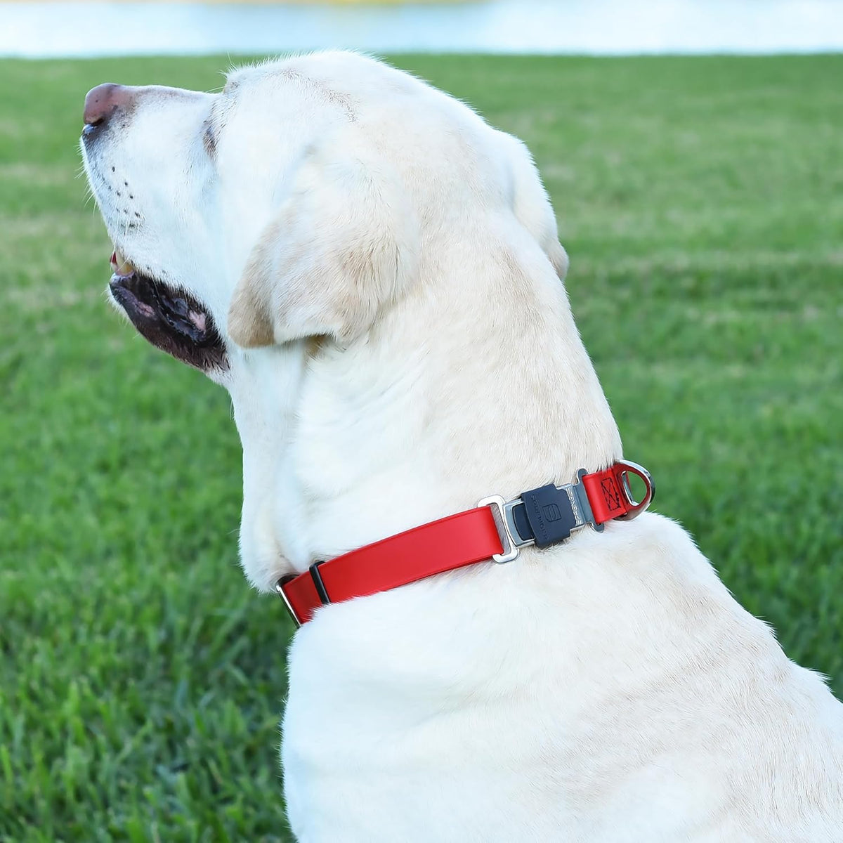 Dogline Biothane Waterproof Dog Collar with Herm Sprenger Stainless Steel Quick Release Buckle