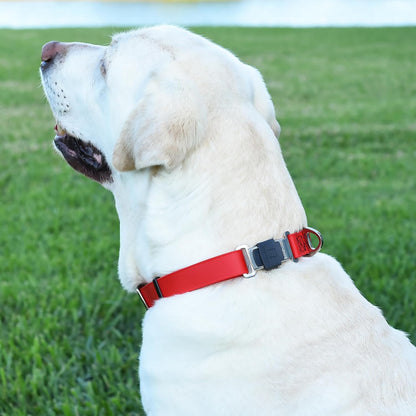 Dogline Biothane Waterproof Dog Collar with Herm Sprenger Stainless Steel Quick Release Buckle