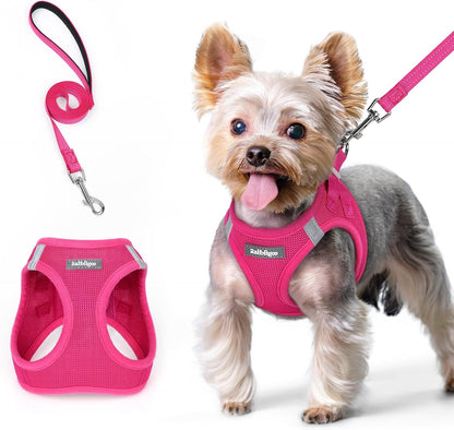 rabbitgoo Dog Harness Small Sized and Leash Set, Step in Soft Light Puppy Vest, Breathable Mesh Pet