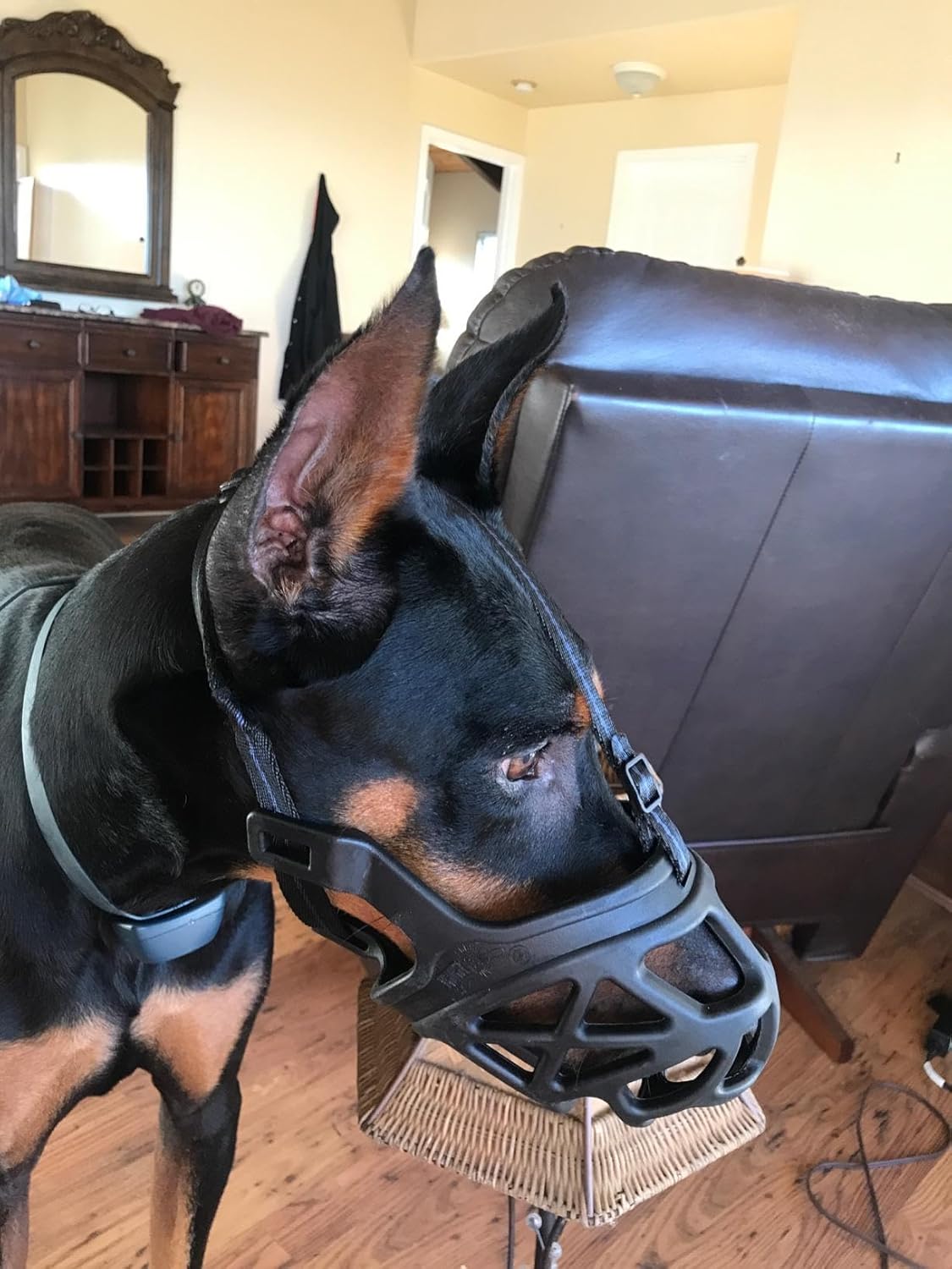 Mayerzon Dog Muzzle, Breathable Basket Muzzles for Small, Medium, Large and X-Large Aggressive Dogs