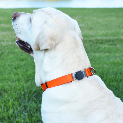 Dogline Biothane Waterproof Dog Collar with Herm Sprenger Black Stainless Steel Quick Release