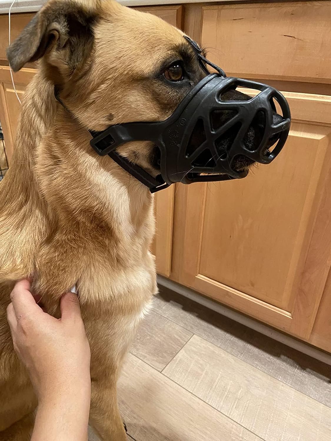 Mayerzon Dog Muzzle, Breathable Basket Muzzles for Small, Medium, Large and X-Large Aggressive Dogs