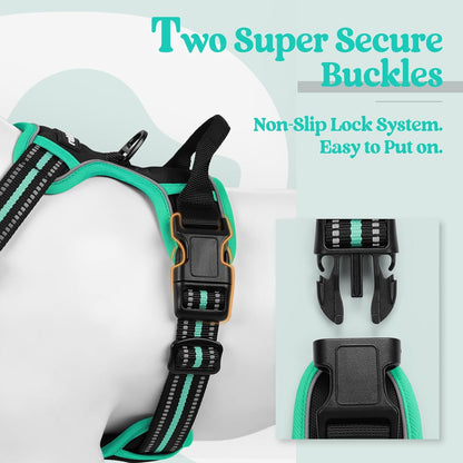 rabbitgoo Dog Harness No Pull with 2 Leash Clips, Adjustable Soft Padded, Reflective Oxford No