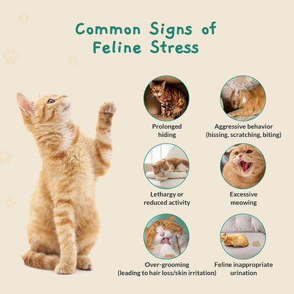 Cat Calming Diffuser – for Travel, Car & Home Use, Pheromone Diffuser for Cats & Kittens to Reduce