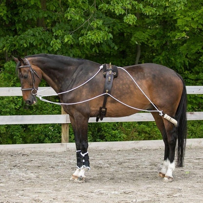Advanced European Training System | Advanced Training Tool | Enhances Horse Carriage and Headset |