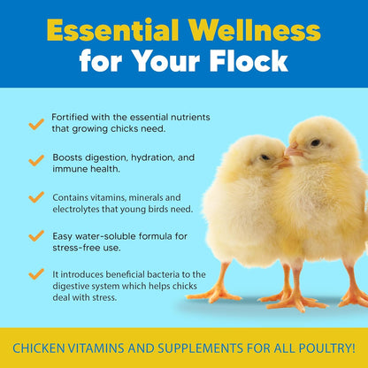Equerry's Flock PRO Chick Boost Probiotic - Probiotics, Vitamins, Minerals and Electrolytes for