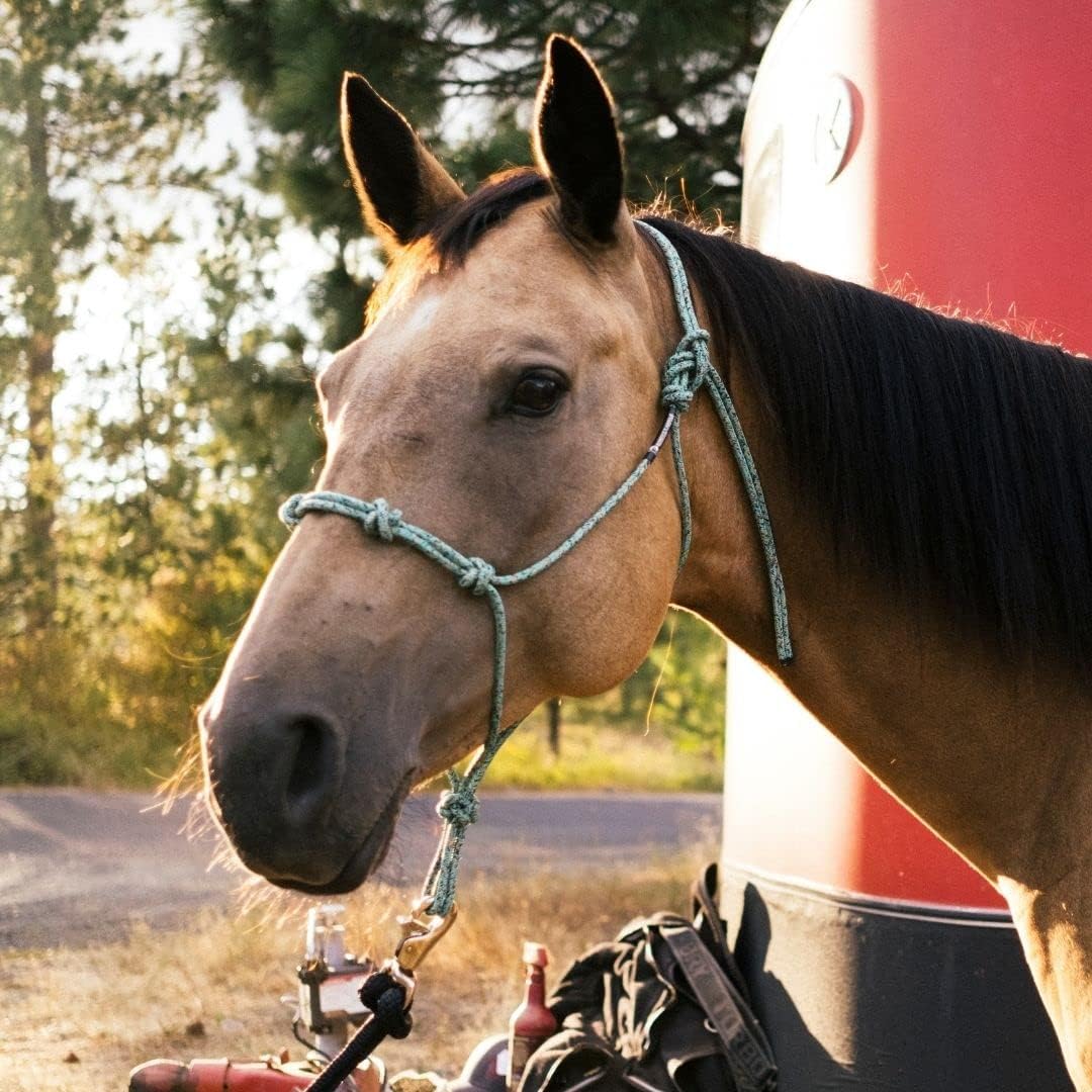 Horse Rope Training Halter - 4 Knot 1/4" Stiff Halter Cord - Used by Famous Trainers Multiple Sizes