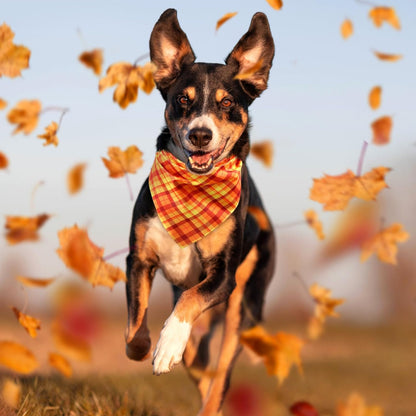 Abbylike 50 Pcs Fall Plaid Dog Bandanas Bulk Thanksgiving Bandanas for Dogs Triangle Kerchief Bibs