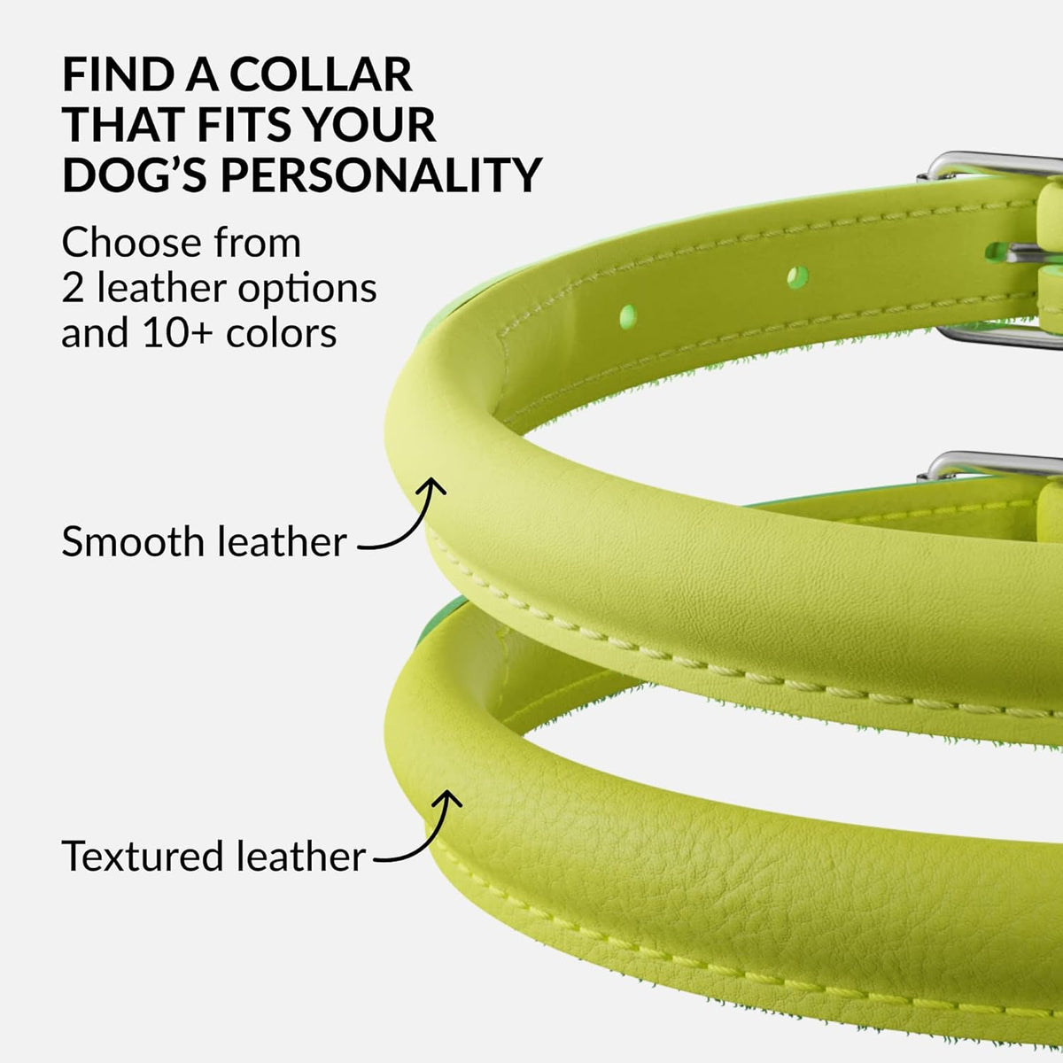 CollarDirect Rolled Leather Dog Collar, Soft Padded Round Puppy Collar, Handmade Genuine Leather
