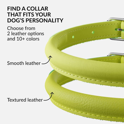 CollarDirect Rolled Leather Dog Collar, Soft Padded Round Puppy Collar, Handmade Genuine Leather