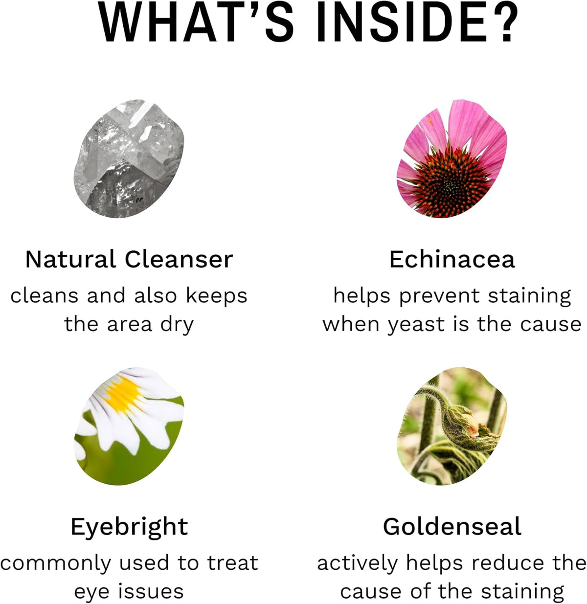 Eye Envy Tear Stain Remover Powder for Dogs and Cats. 100% Natural, Safe. Apply Around Eyes.
