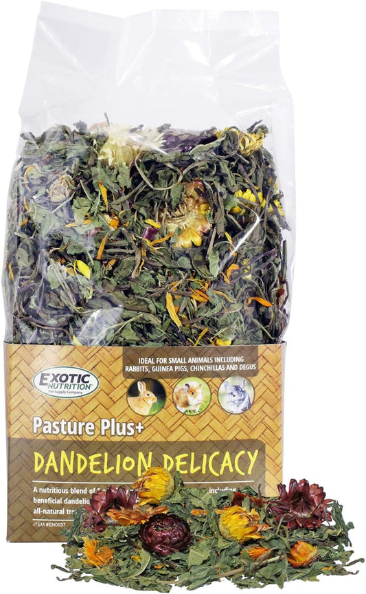 Pasture Plus+ Dandelion Delicacy - Healthy Natural High-Fiber Dried Flower Treat - Squirrels