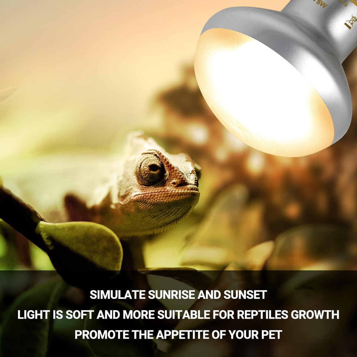 REPTIZOO 75W Reptile Heat Lamp Bulb, 2PCS Day & Night Basking Spot Light Combo Pack Includes