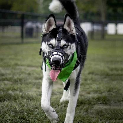 BARKLESS Dog Muzzle, Soft Basket Silicone Muzzle for Dogs to Prevent Biting and Chewing, Breathable
