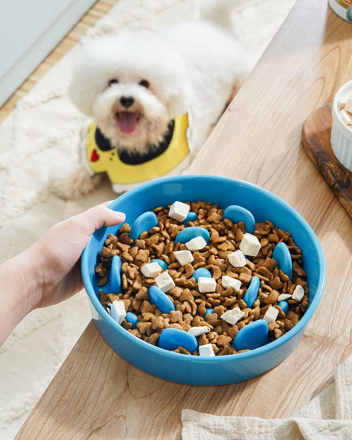 LE TAUCI Dog Bowls Slow Feeder Ceramic, 1.5 Cup Slow Feeding Bowl for Small and Medium Breed