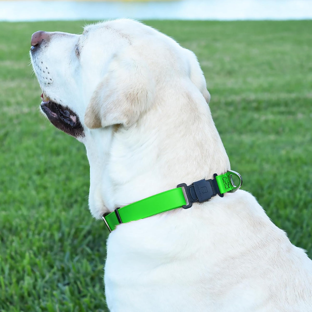 Dogline Biothane Waterproof Dog Collar with Herm Sprenger Black Stainless Steel Quick Release