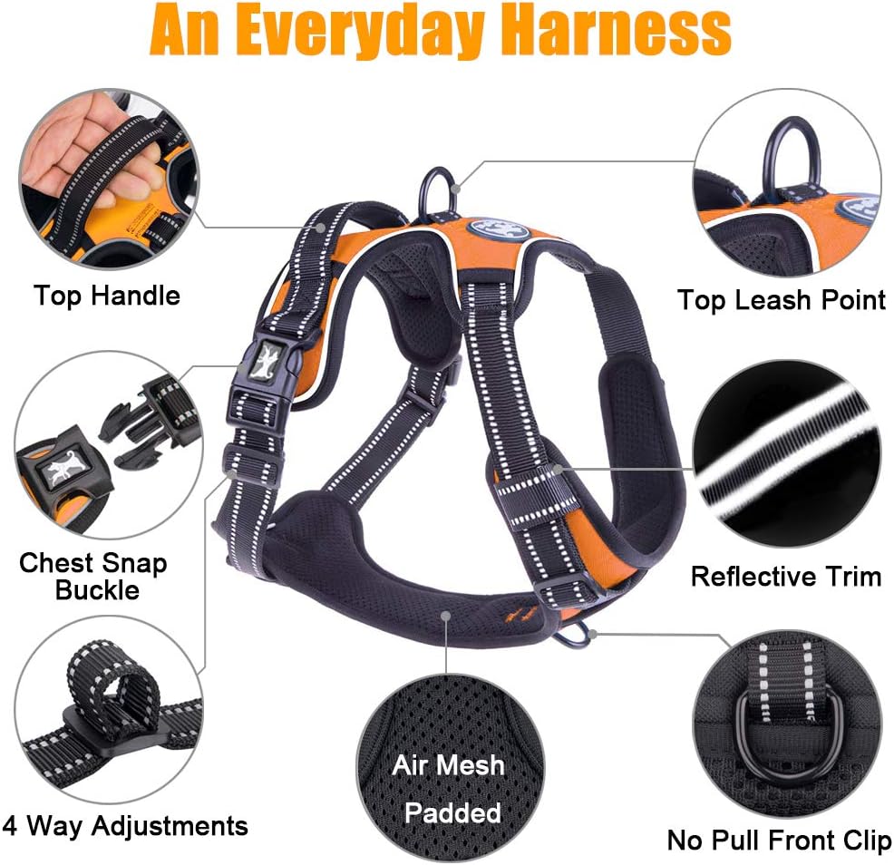 PoyPet No Pull Dog Harness, Reflective Comfortable Vest Harness with Front & Back 2 Leash