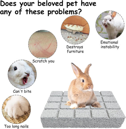 Hamiledyi 4PCS Rabbit Scratching Pads Bunny Lava Grinding Claw Pads Small Animal Foot Pads Hamster