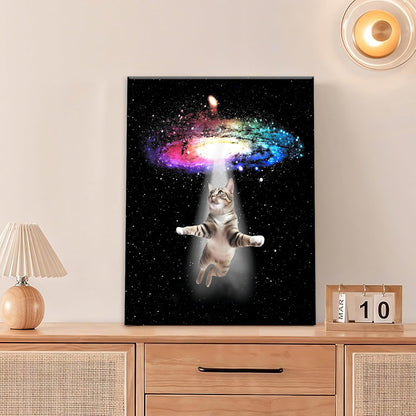 Funny Cat Wall Art Canvas Galaxy Wall Decor Prints Framed Painting Animal Pictures Gifts Artwork