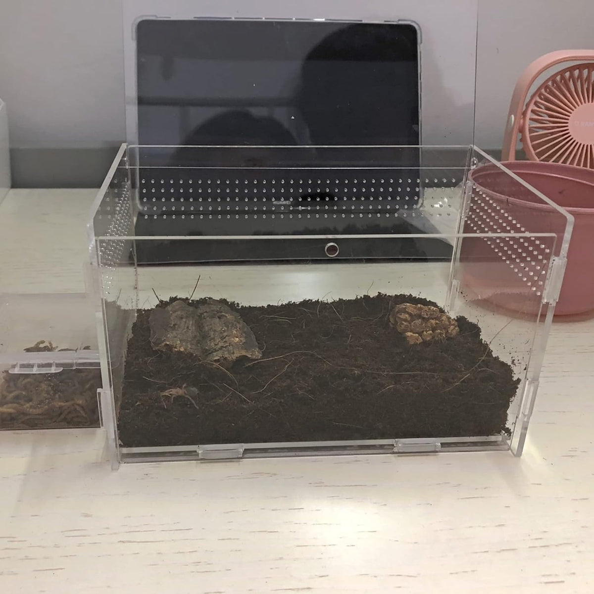 Magnetic Acrylic Case, micro habitat small Tarantula Enclosure enclosure for arboreal Tarantula
