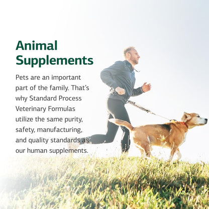 Standard Process Canine Musculoskeletal Support - Bone & Joint Health Formula for Pets - Canine