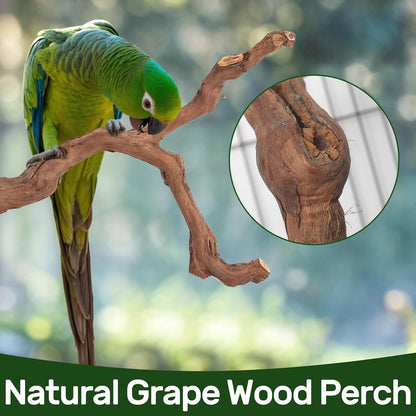 6-Piece Premium Bird Perch Stand with Natural Grape Wood Branch, Paw Grinding Fork, Chewing Stick