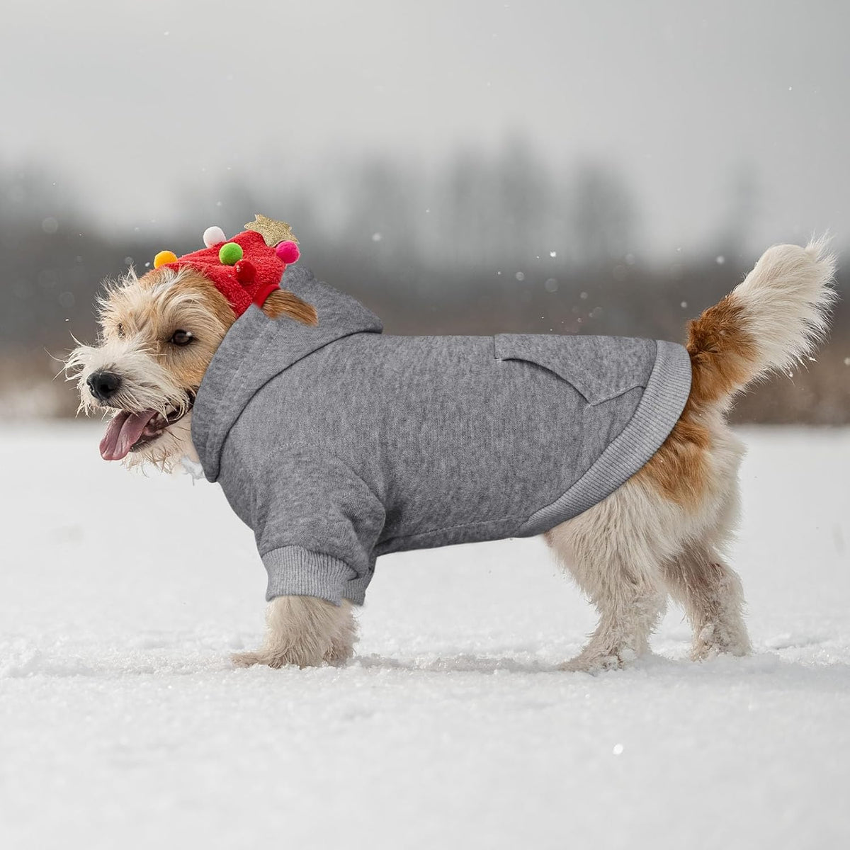 Dog Sweaters for Small Dogs Dog Hoodie Dog Sweater Solid Soft Brushed Fleece Dog Clothes Dog Hoodie