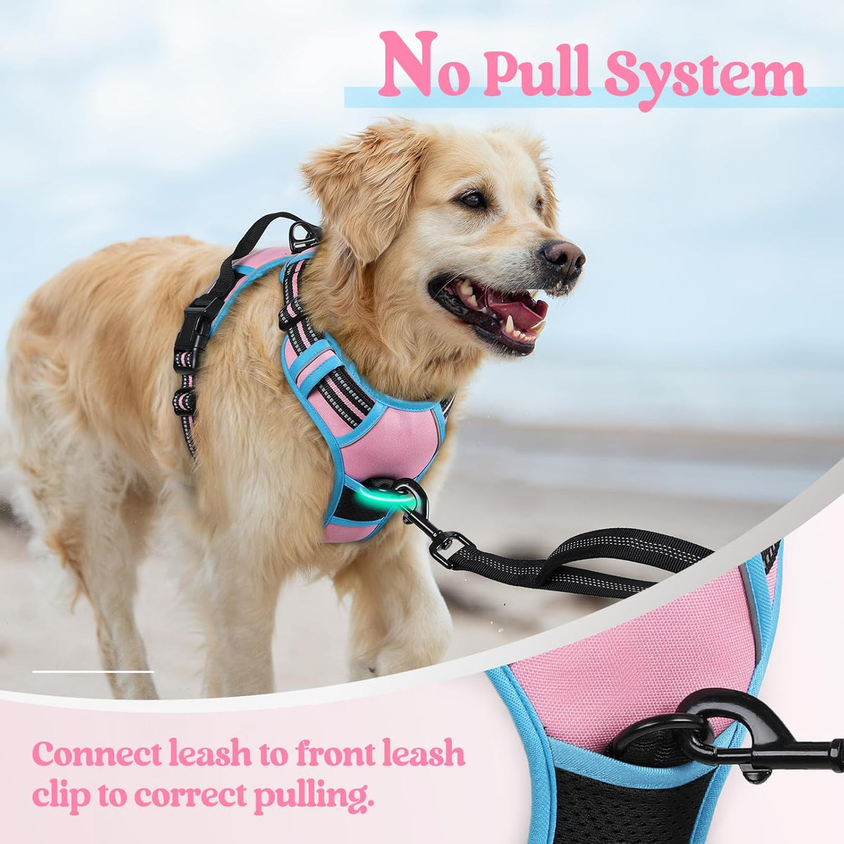 rabbitgoo Dog Harness No Pull with 2 Leash Clips, Adjustable Soft Padded, Reflective Oxford No