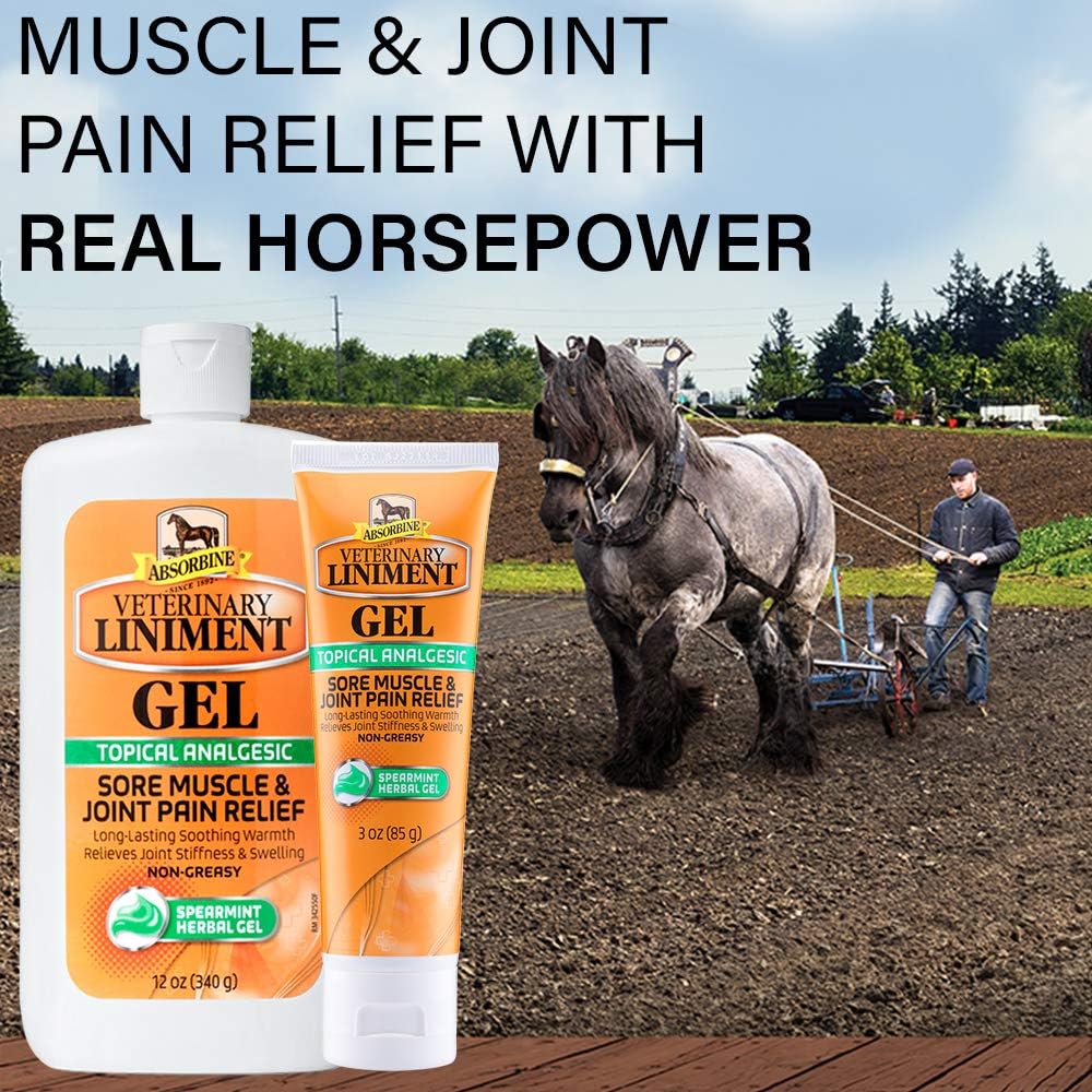 Absorbine Veterinary Liniment Gel, Topical Menthol Analgesic Rub for Sore Muscle, Joint & Arthritis