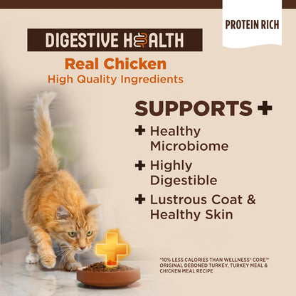 Wellness CORE+ Adult Dry Cat Food for Indoor and Outdoor Cats, Wholesome Grains, Natural, Digestive