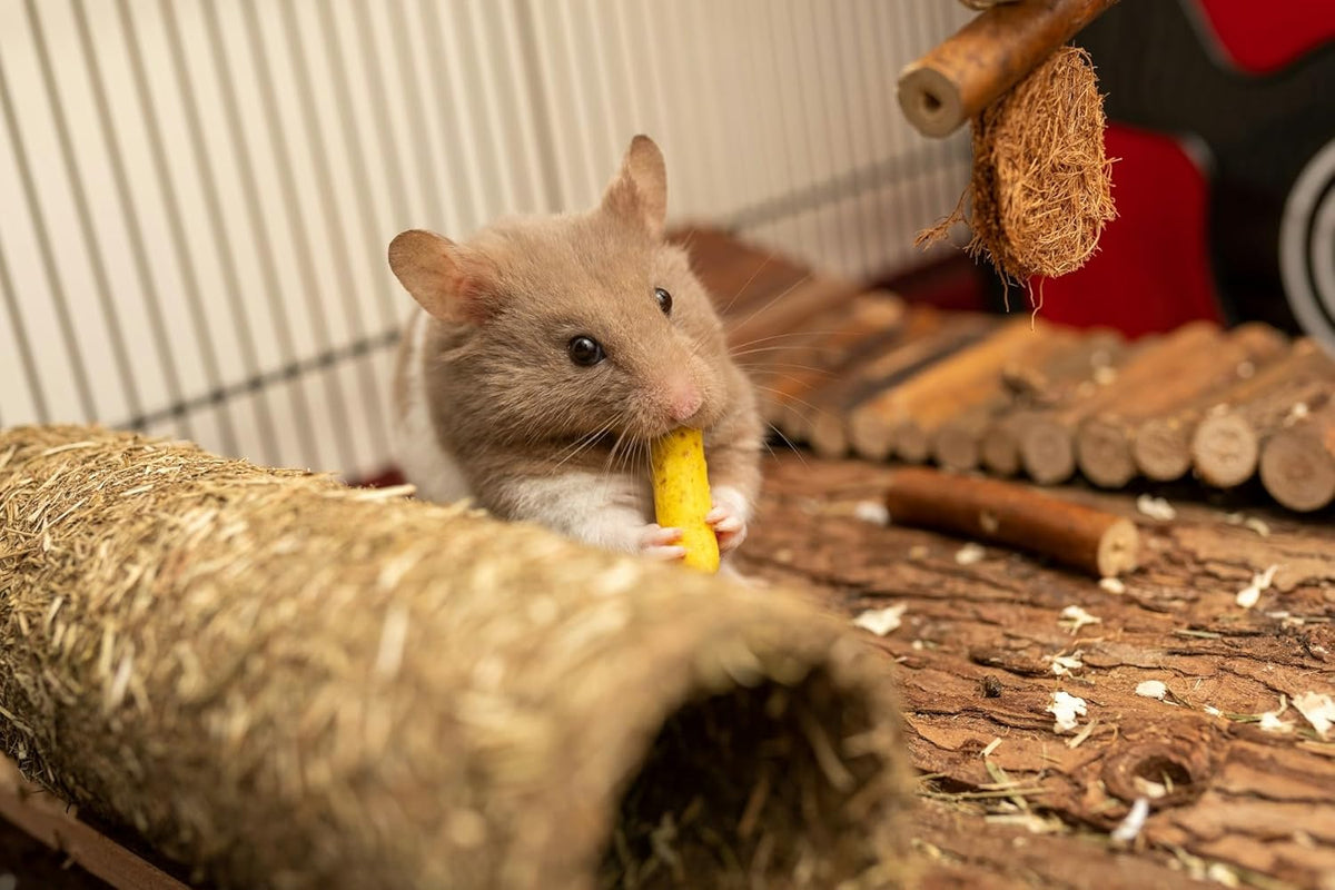 SIMENA Wooden Hamster Suspension Bridge Toy, Hamster Fencing, Natural Climbing Ladder for Dwarf