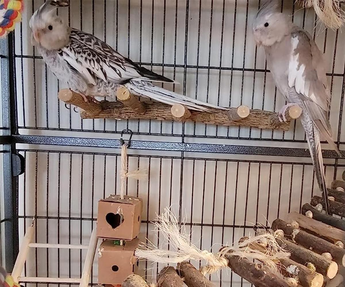 Bird Parrot Ladder Perch for Cage, Nature Wooden Bird Bridge Exercise Stands Parrot Climbing
