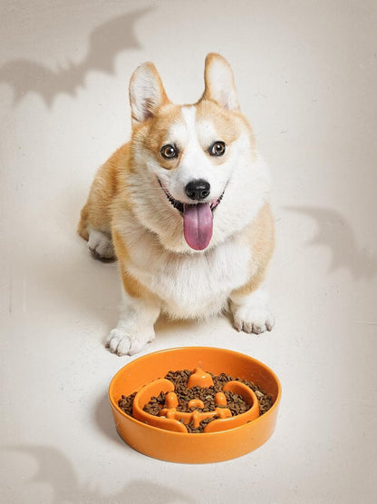 LE TAUCI Ceramic Slow Feeder Dog Bowls Small Breed, 0.6 Cups Dog Food Dish for Fast Eaters, Puzzle