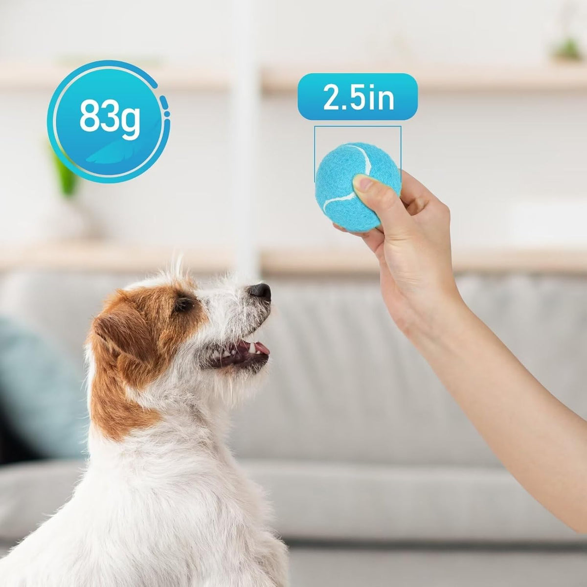 PrimePets Tennis Balls for Dogs, 2.5 Inch Thick Bouncy Ball for Dogs, Interactive Fetch Dog Toy