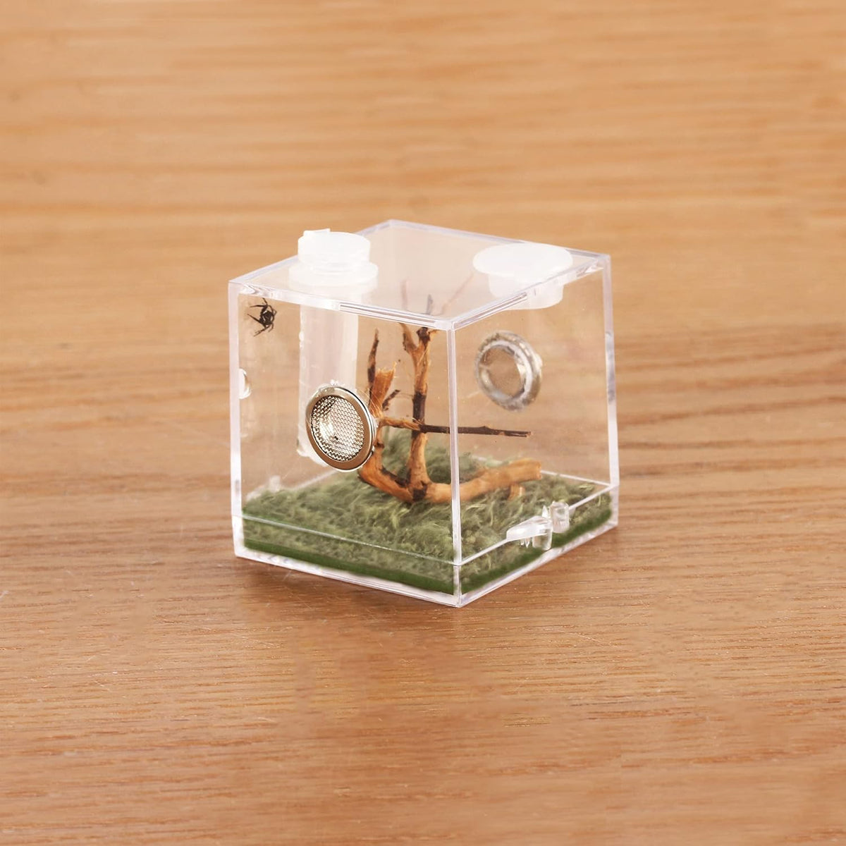 crapelles Jumping Spider Micro Middle Habitat, Small Pet Insect Breeding Box, 360 Degree