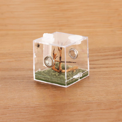 crapelles Jumping Spider Micro Middle Habitat, Small Pet Insect Breeding Box, 360 Degree