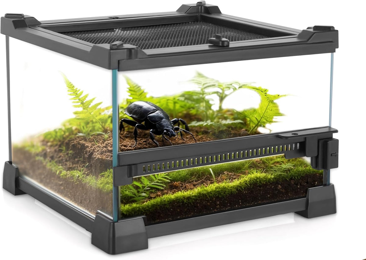 Mini Reptile Glass Terrarium 8"x8"x6" Durable Reptile Habitat Tank with Heat Resistant Aluminum