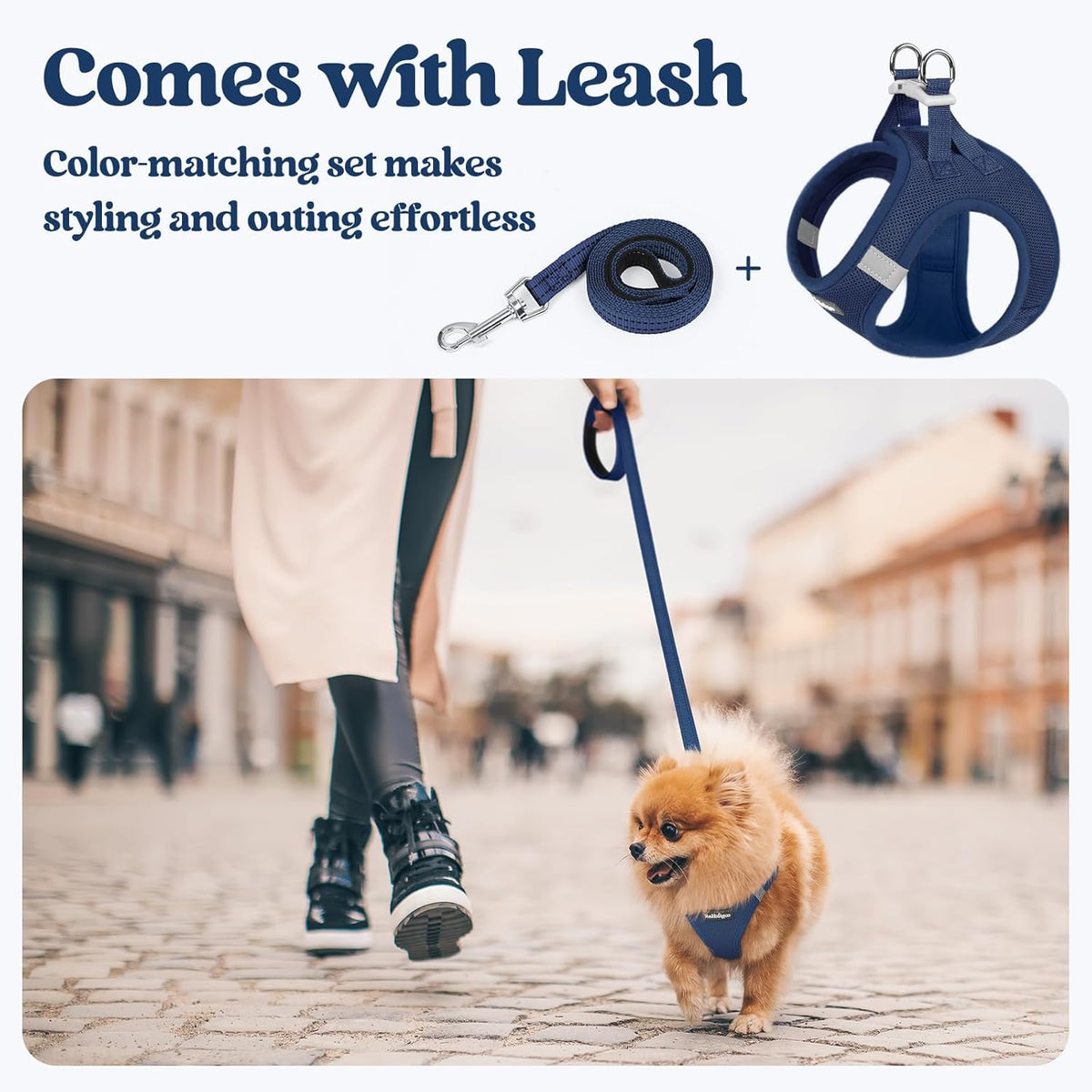 rabbitgoo Dog Harness Small Sized and Leash Set, Step in Soft Light Puppy Vest, Breathable Mesh Pet