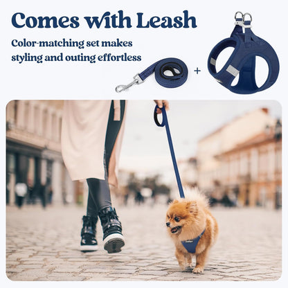 rabbitgoo Dog Harness Small Sized and Leash Set, Step in Soft Light Puppy Vest, Breathable Mesh Pet