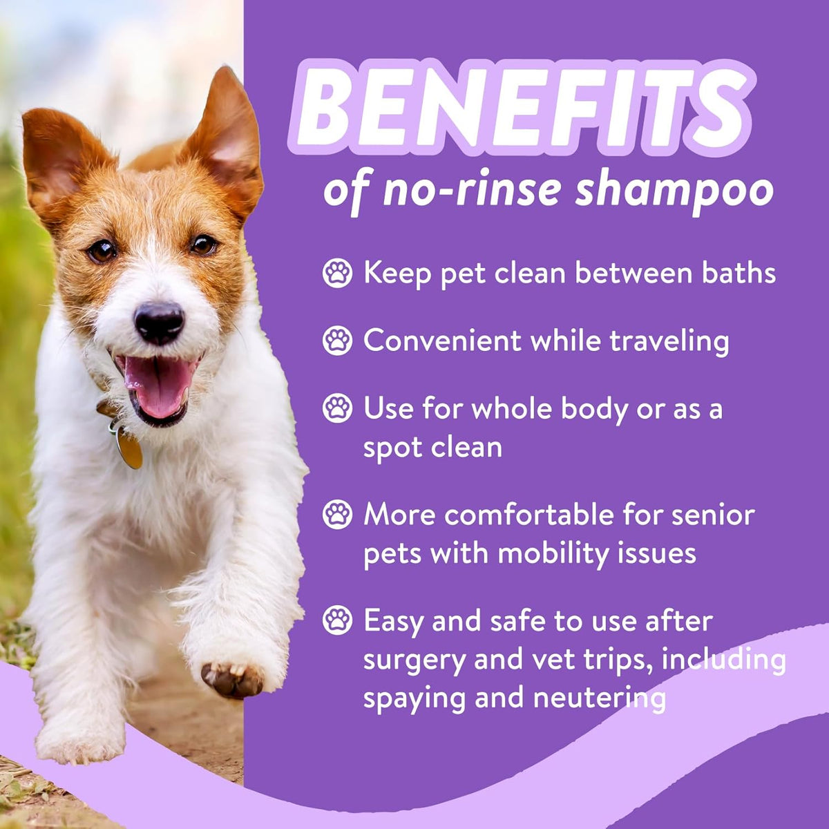 Bodhi Dog Waterless Shampoo - Natural Dry Shampoo for Dogs & Cats - Neutralizes Pet Odor - No Rinse