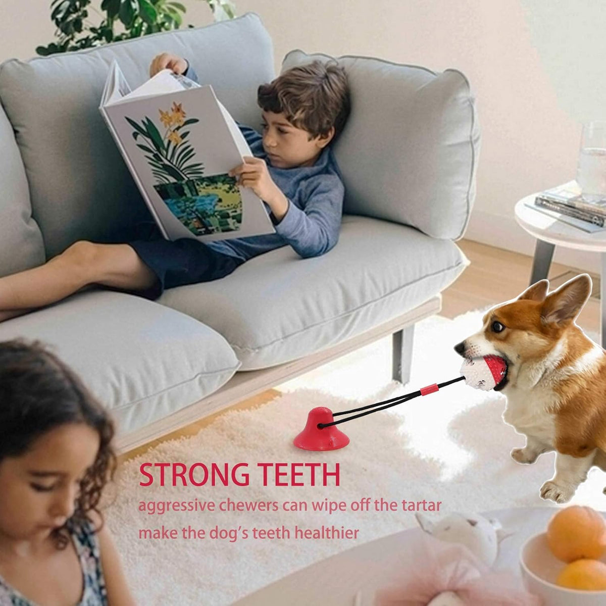 Dog Toys, Dog Chew Toys for Aggressive chewers,Rope with Suction Cup for Puppy Training Treats