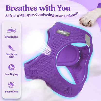 rabbitgoo Dog Harness Small Sized and Leash Set, Step in Soft Light Puppy Vest, Breathable Mesh Pet