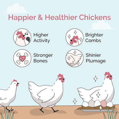 Chick Grit for Baby Chicks - Chickens Age 0-8 Weeks, 100% Natural Mineral Chick Grit Quartzite