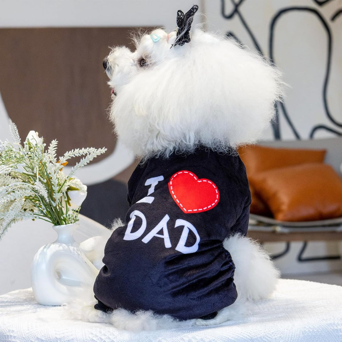 CuteBone Dog Halloween Pajamas Puppy Onesies Small Dogs Soft Pjs Coat Cat Apparel Comfy Pet